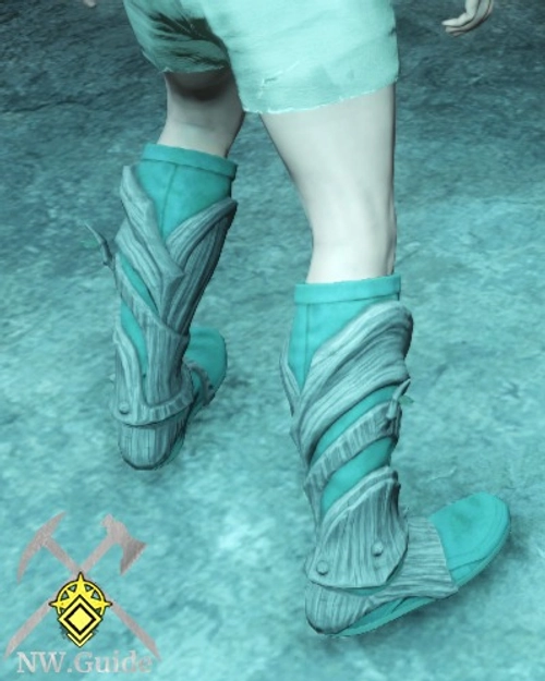 Photo of Primeval Leather Boots T5 from back during night