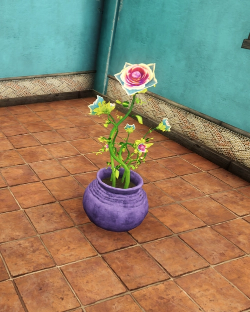 Pot of Wispy Blooms