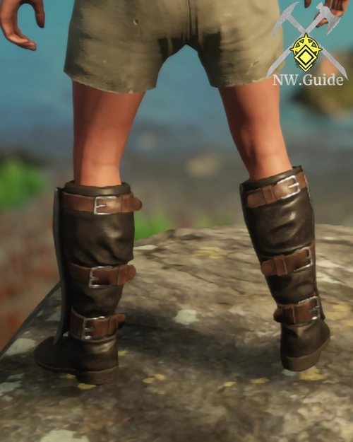 Closeup screenshot of the Plate Boots T5 from the back