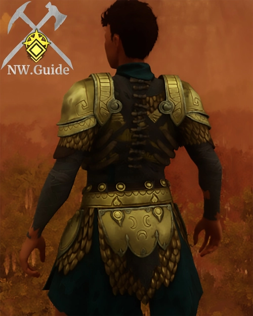 Screenshot of the back of the Guardian Spearmarshal Coat T5