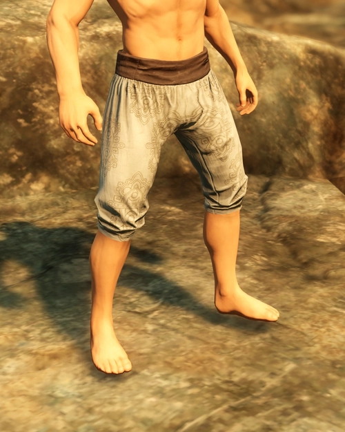 Ancient Cloth Pants