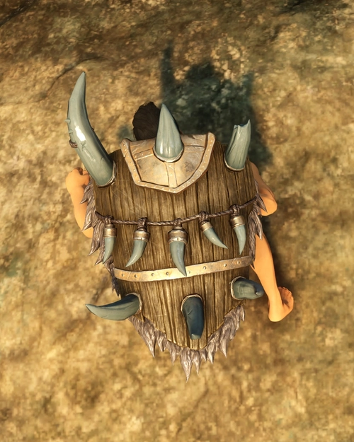 Bone Wrought Kite Shield of the Soldier