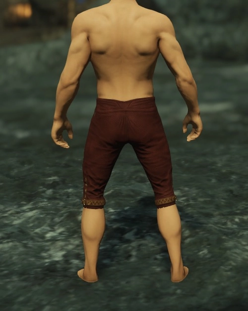 Highwaymans Breeches