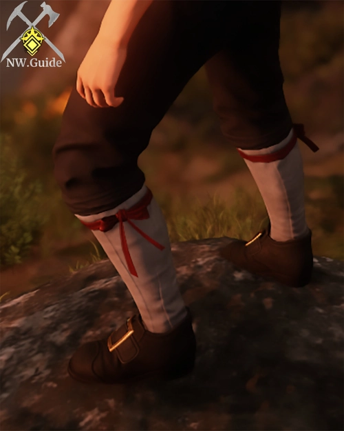Screenshot of the Chef Shoes T5