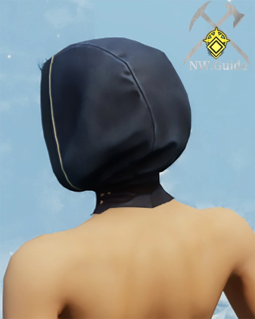 Photo of the back of the Tempest Guard Hood 
