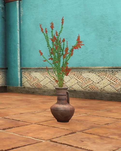 Vase of Ocotillo Flowers