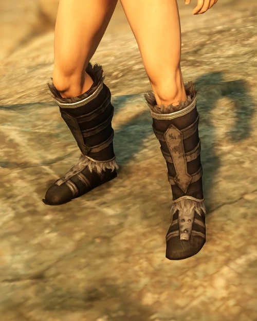 XIXth Signifers Boots