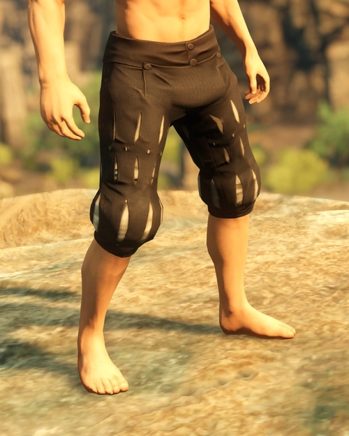 Armorer Pants