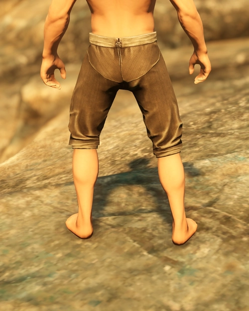 Engineer Pants