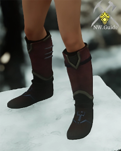 Photo of the Corrupted Leather Boots T5
