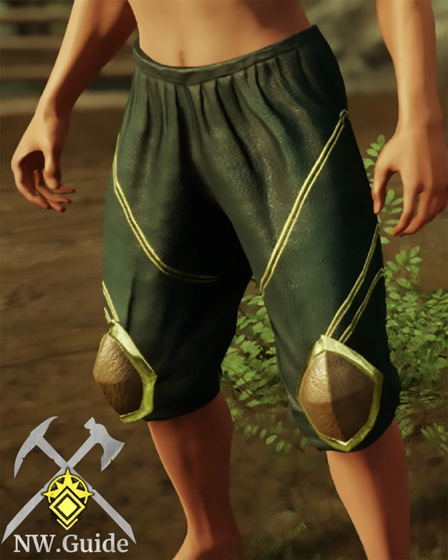 Screenshot of the Immemorial Leather Pants T5