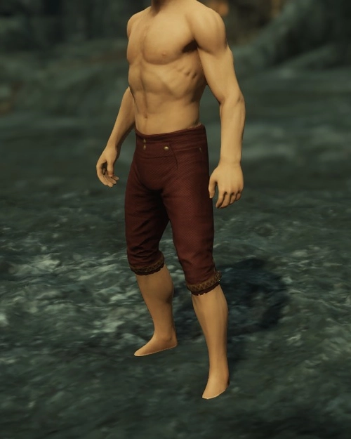 Highwaymans Breeches