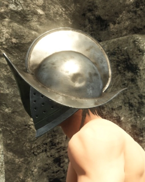 Plate Helm T3 Side View Photo