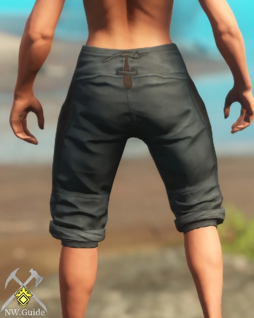 Screenshot of the Lumberjack Pants T5 from the back