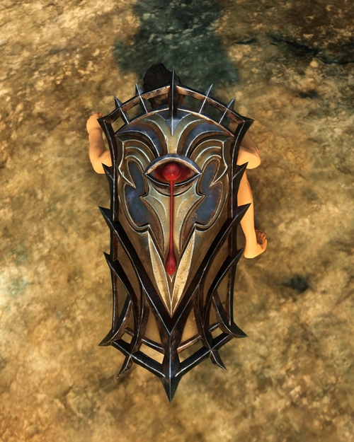 Wicked Warriors Tower Shield