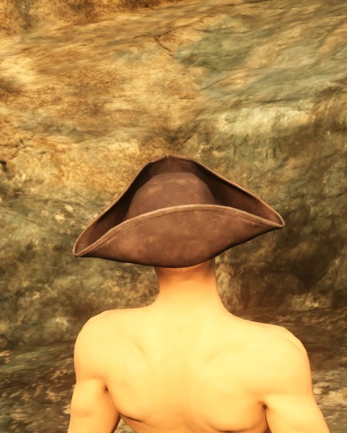 Swashbuckler Hat