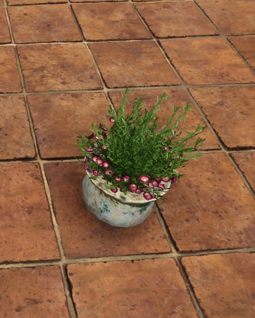 Pot of Pink Flowers