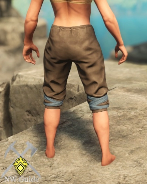 Photo of Harvester Pants T5 from the back