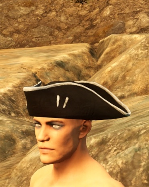 Musketeers Hat