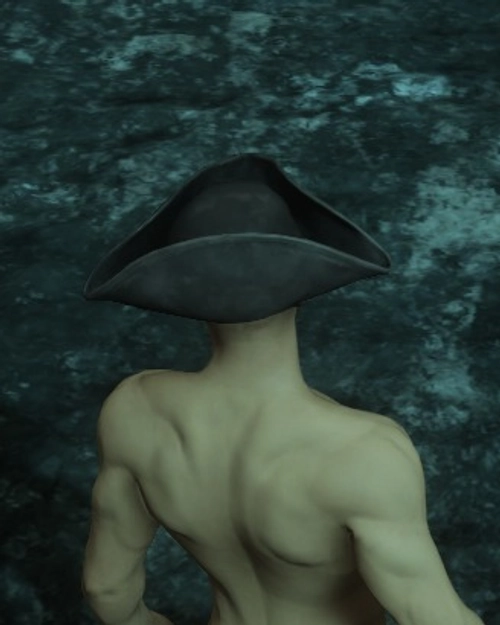 Swashbuckler Hat