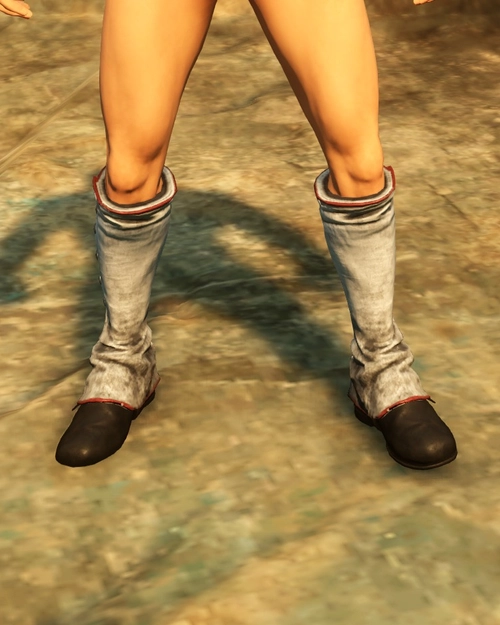 Musketeers Boots