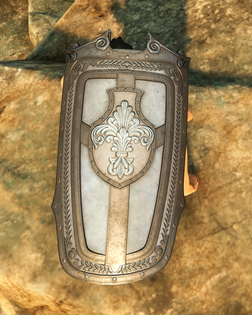 Forsaken Tower Shield