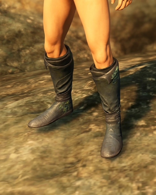 Brined Boots of the Sentry