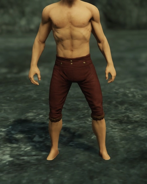 Highwaymans Breeches