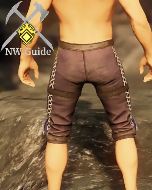Screenshot of the Primordial Leather Pants T5