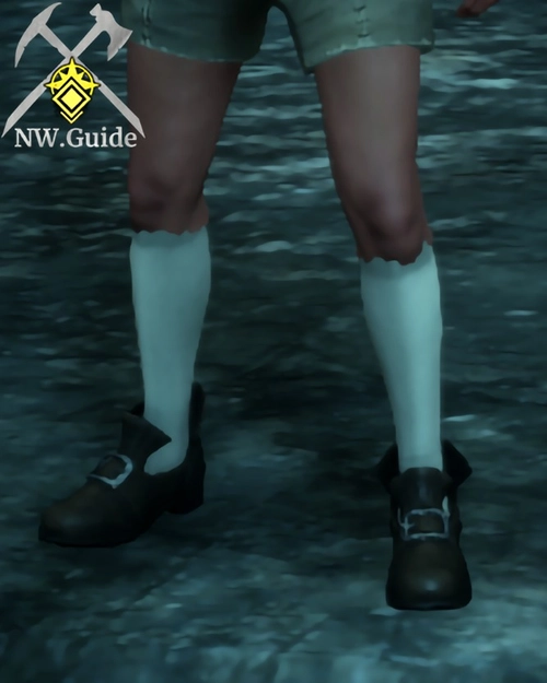 Front view screenshot on Engineer Shoes T4