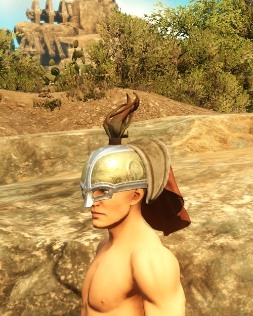 Elegant Warriors Helmet