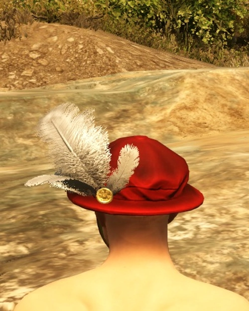 Conviviality Hat