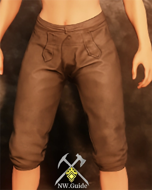 Screenshot of Miner Pants T5