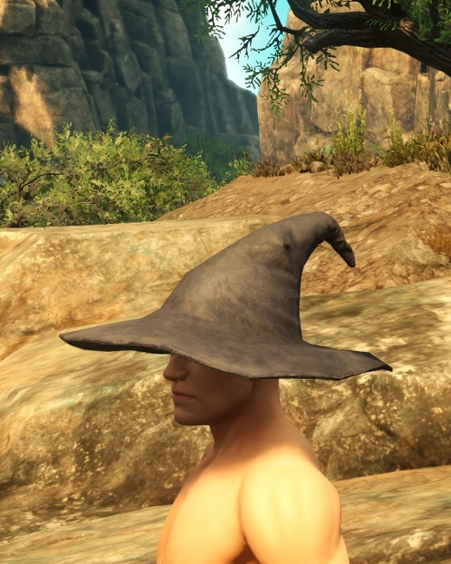Purified Protective Wyrd Hat