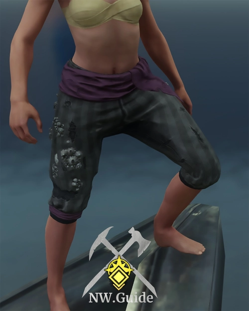 Highres photo of the tier 5 Waterlogged Pants