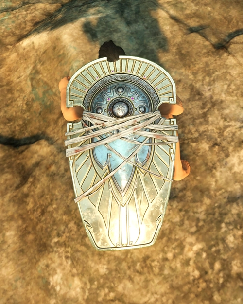 Lazarus Watcher Tower Shield
