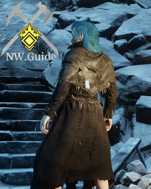 Photo of the Shadewalker Robe tier 5 from the back