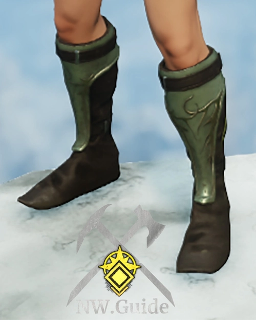 Dryad Patroller Shoes T5 loot from Garden of genesis dungeon