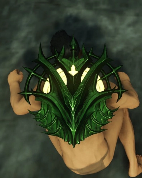 Overgrown Buckler of the Soldier