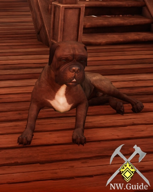 Screenshot of Barkimedes Puppy observed from above