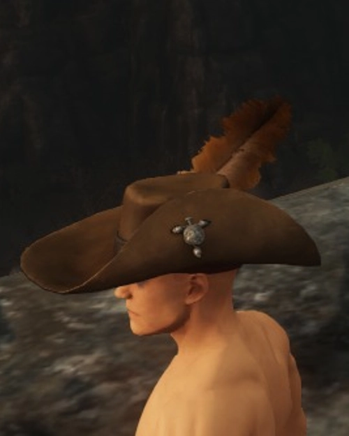 Homesteaders Hat