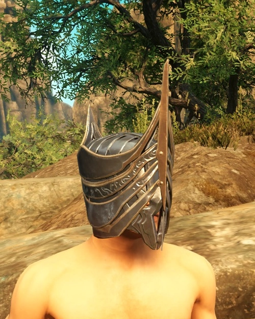 Voidslayers Helm