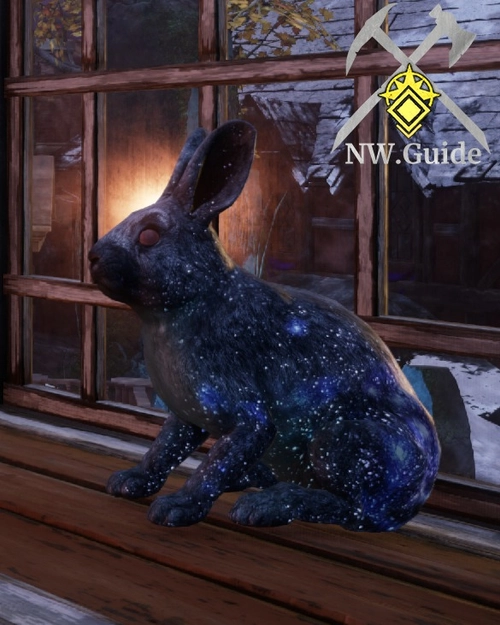 Windowsill with Celestial Hare sitting on it