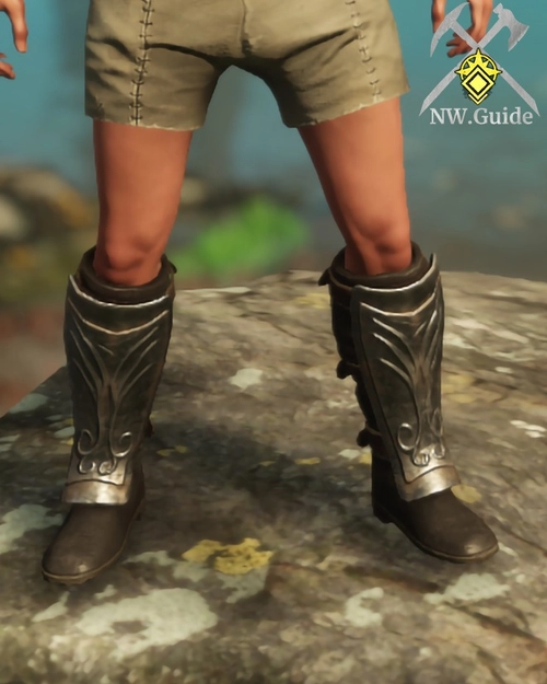 Closeup Photo of Plate Boots T5 from the front side