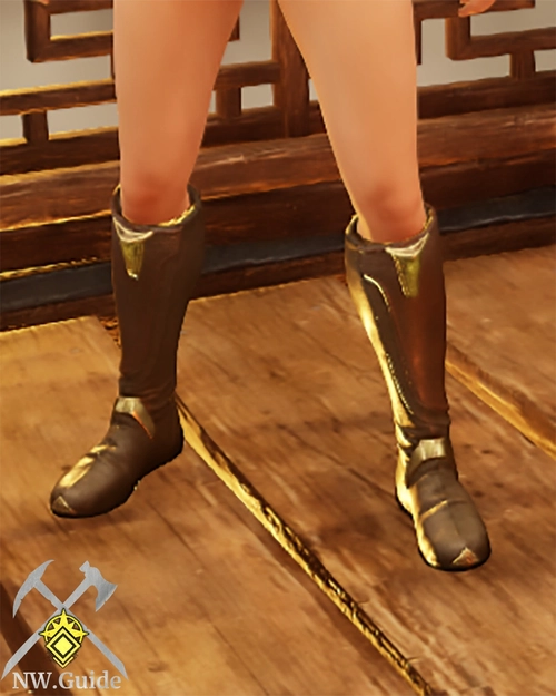 Screenshot of Immemorial Leather Boots T5