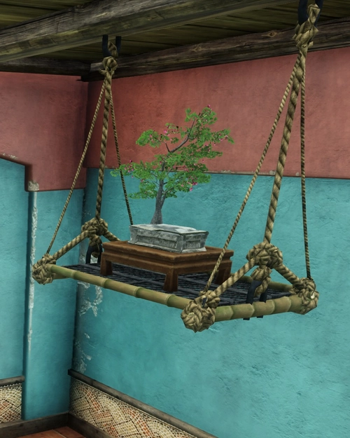 Hanging Bonsai
