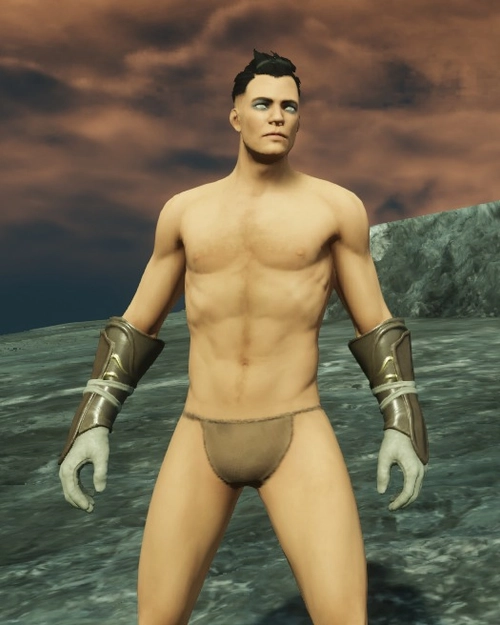 Immemorial Leather Gloves