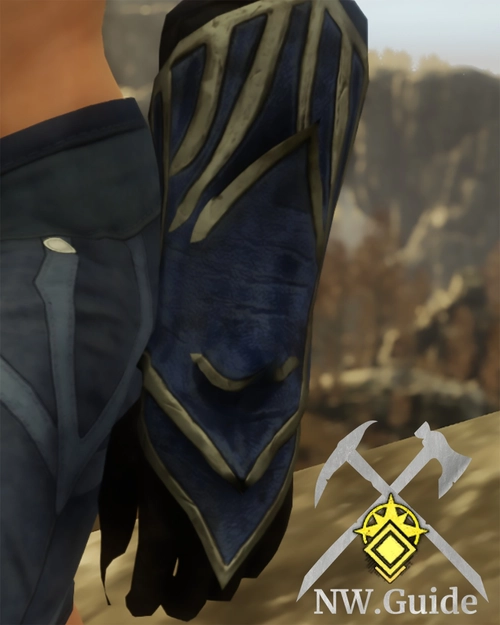 Detailed photo of the Cursed Zealots Gloves T5
