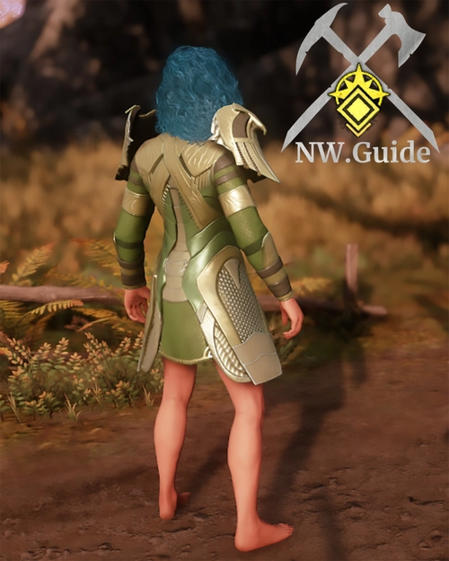 Screenshot of the Overgrown Breastplate T5 from the back