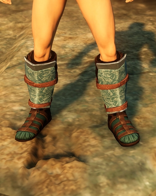 Elegant Warriors Boots